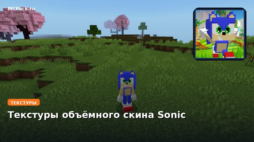 Текстуры объёмного скина Sonic Minecraft BE