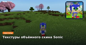Текстуры объёмного скина Sonic Minecraft BE