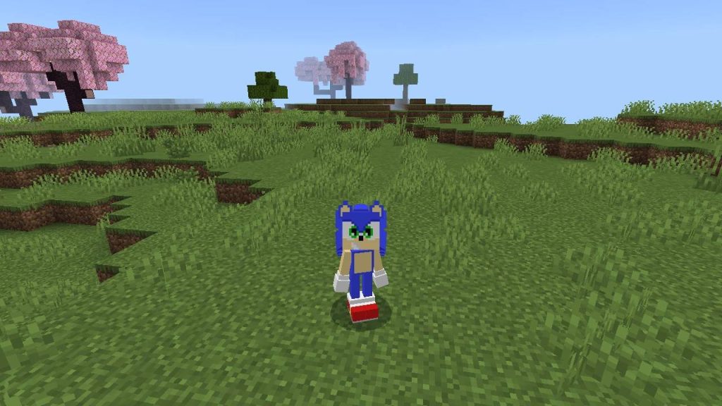 Текстуры объёмного скина Sonic Minecraft BE
