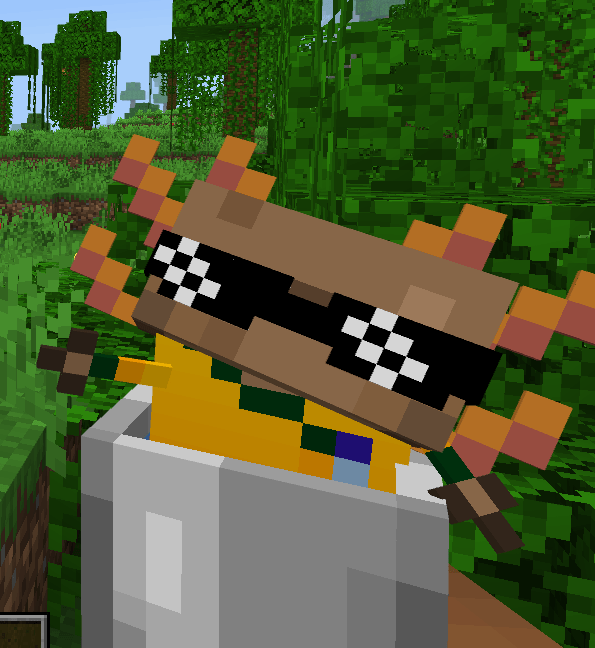 Текстуры Axolotl in Totem Minecraft BE