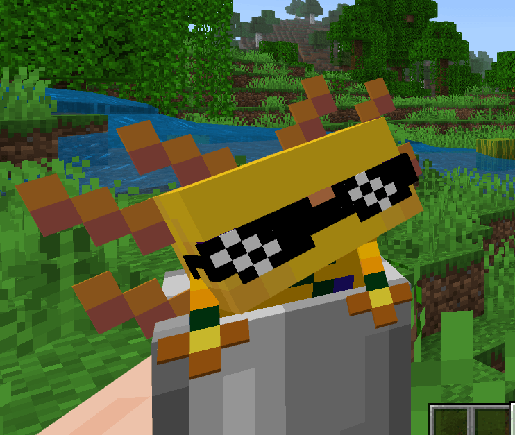 Текстуры Axolotl in Totem Minecraft BE